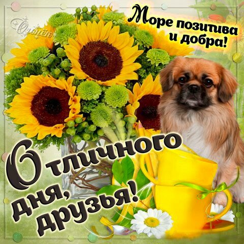 IMG 20181112 204645 610