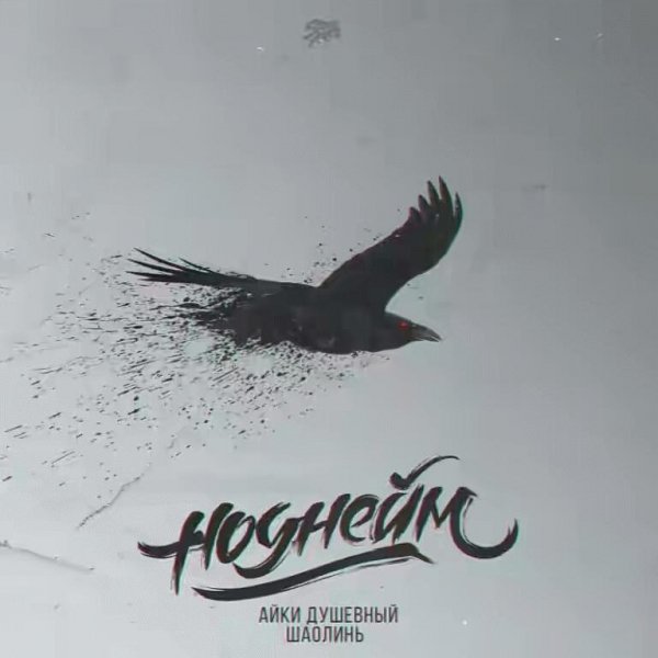 Айки Душевный и Шаолинь. Ноунейм