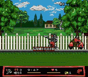 Tom and Jerry - Frantic Antics