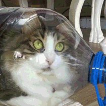 bbc724f04d338e3c15f6c76afa801f77d0909422a0cd6d9400713bab7e