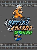 Sprint Escape 220