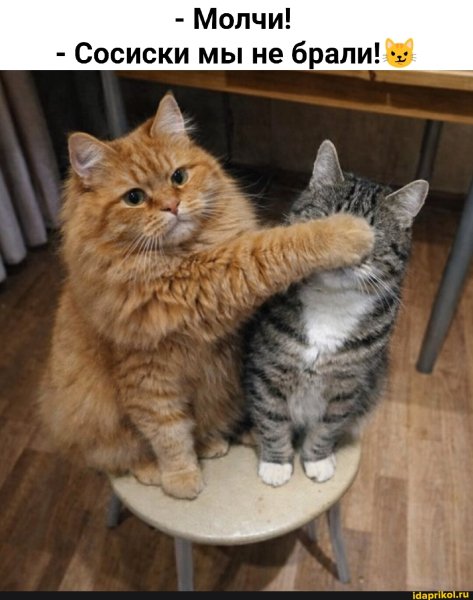 F285b4fdc199600c68f1a99826ebba399d4cd272f8e4 1