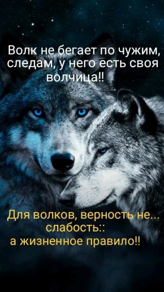 file_101099472