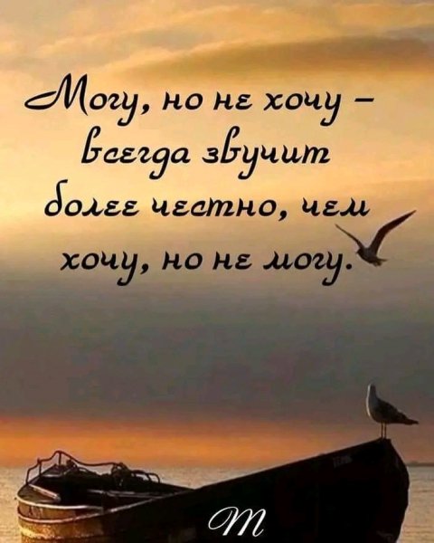 file_95958312