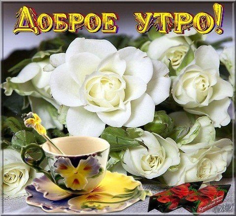 IMG 20190209 505379