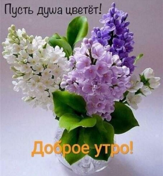 IMG 20200501 041120
