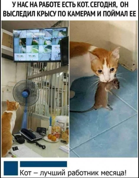 FB IMG 1775324820624