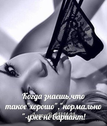 file_68531774
