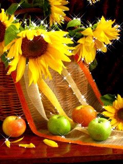file_64588904