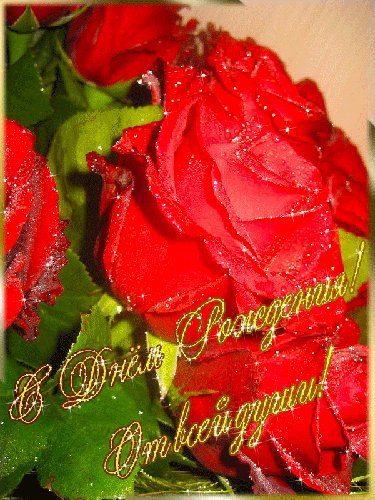 С ДНЕМ РОЖДЕНИЯ ОТ ВСЕЙ ДУШИ