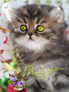 file_48130947