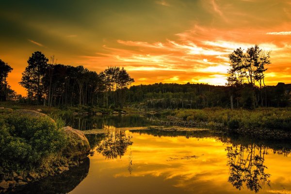 priroda-derevia-oblaka-zakat-les-voda-kamni-vetki-kusty-otra