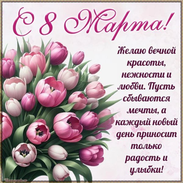 IMG 20250308 131833 649