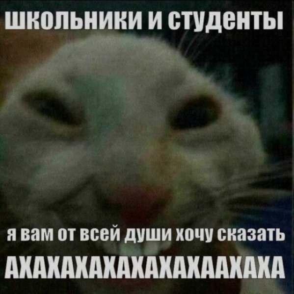 file_103338157