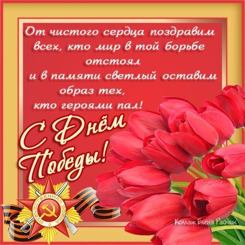 iQOZLPpXJ14