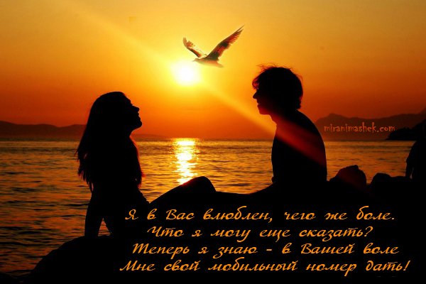 file_58758444