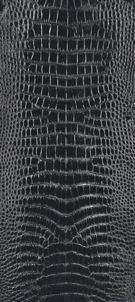 adapted 1080x2408 1772588054