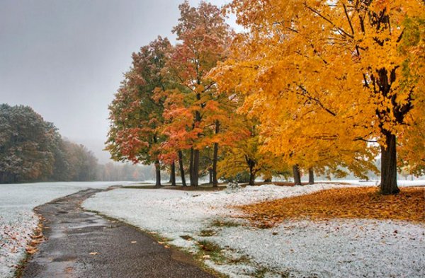 BdtHYnG3ur4aDTqaISlAaVX9uvnSWE6lEa2BFL5Z