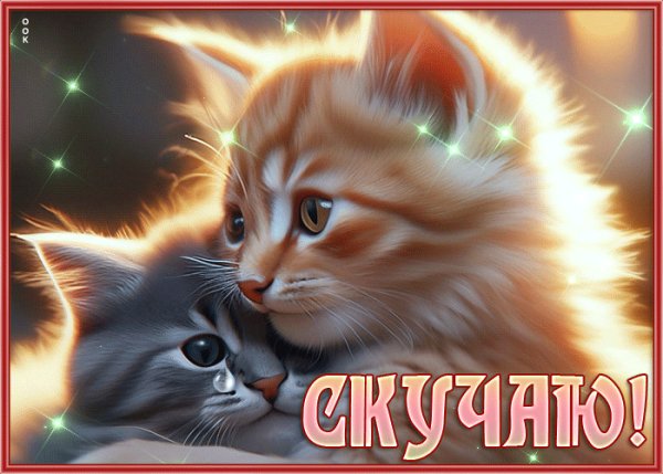 file_99233991