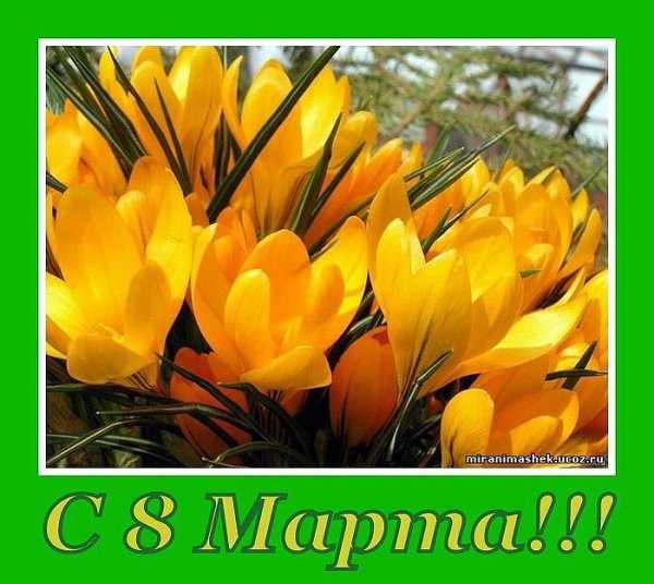 image (88)