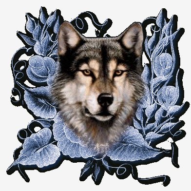 wolf53