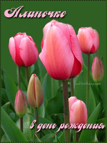 Алиночке в День Рождения