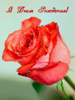 file_29478513