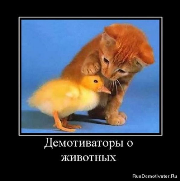 Расти большой..