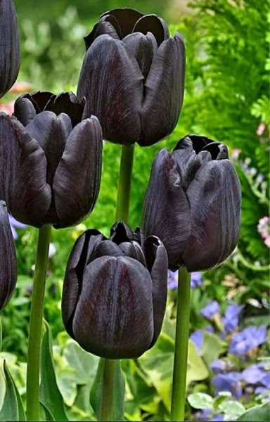 F26f6fa8b16aaa6d5e58f39c0ad58afd