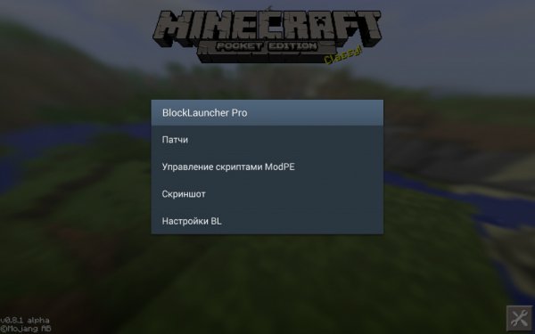 BlockLauncher Pro 1.6.9 3/4