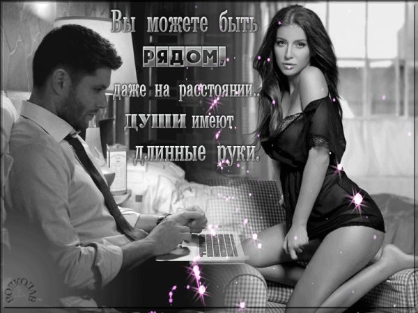 9b11be41c856cbead6ccd7dbdd0bbf9d