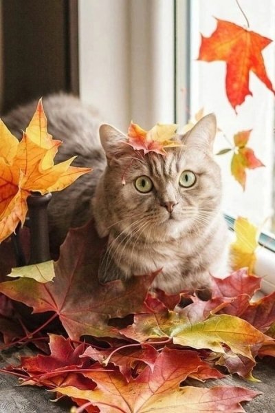 file_100937810