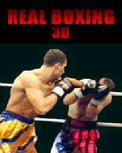 рус)Real Boxing 3D(всеразмерная