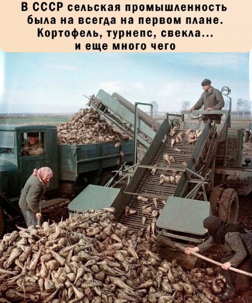 IMG 20240522 124317