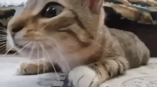 gif 1463873256