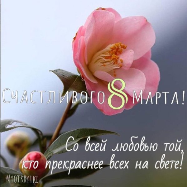 file_92908867