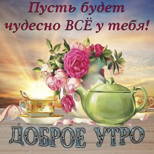 IMG 20190125 009481