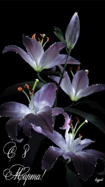 file_39191993