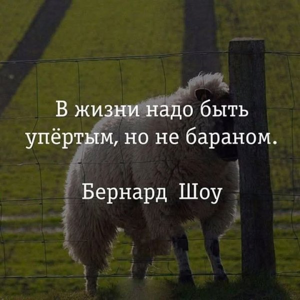 FB IMG 1761472548119