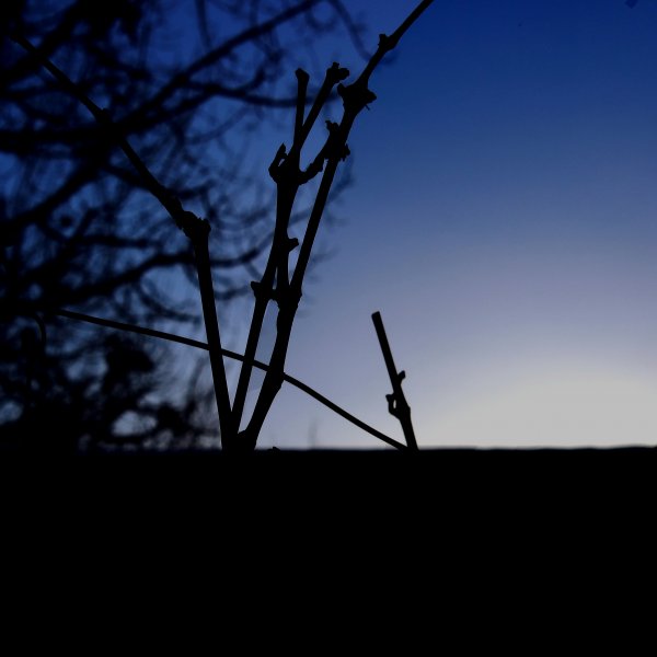 cover2