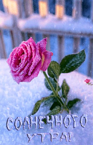 file_84260698