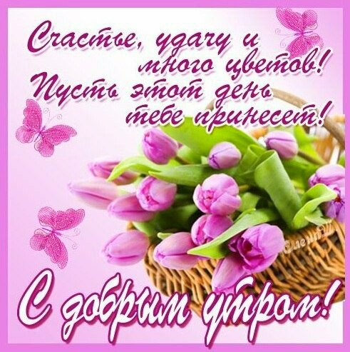 IMG 20181106 220057 642