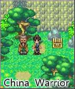 china warrior 240x320 rus