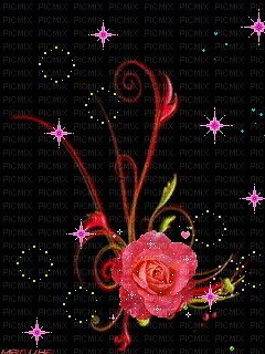 file_72364355