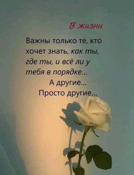 file_101394936
