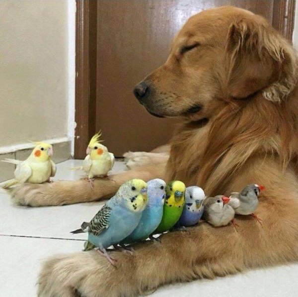 медитация