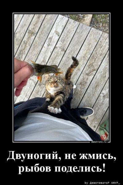 Двуногий, не жмись, рыбой поделись