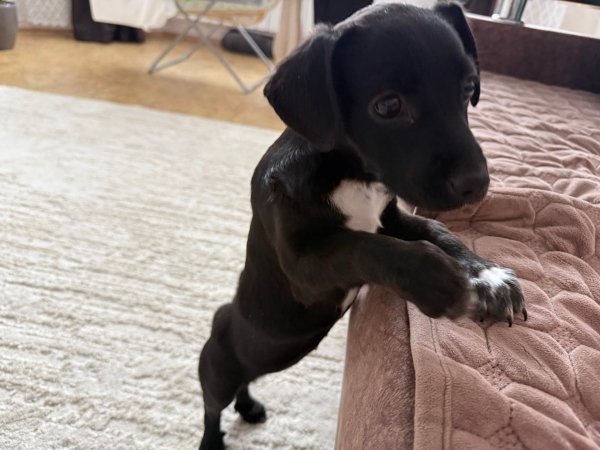 7SFHJKNBCXDGHNBGF32JY