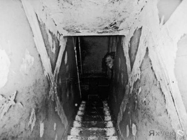creepy 01
