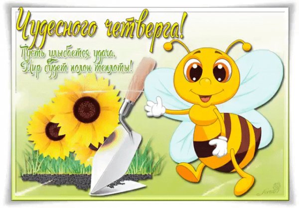 file_66223733